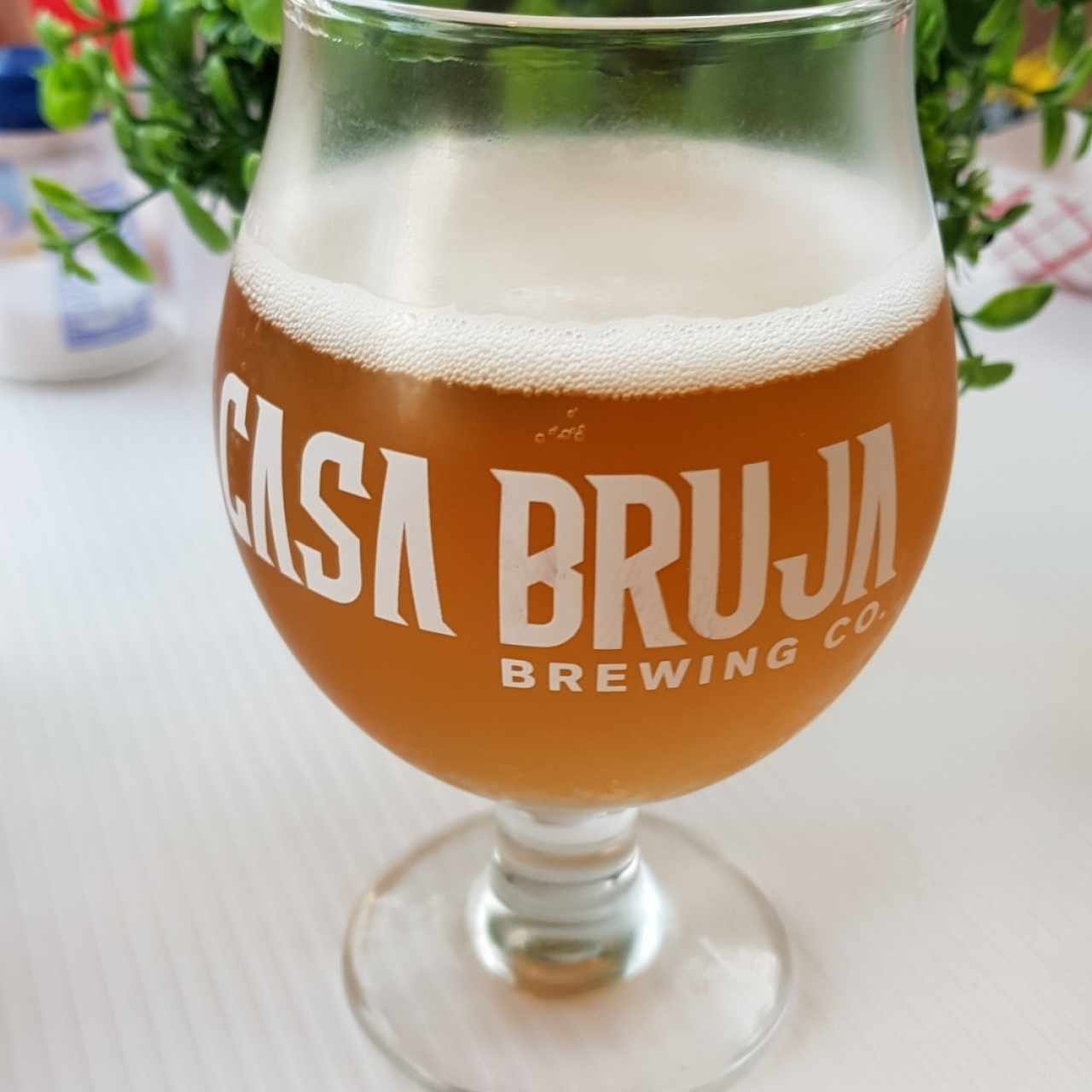 Cerveza fría