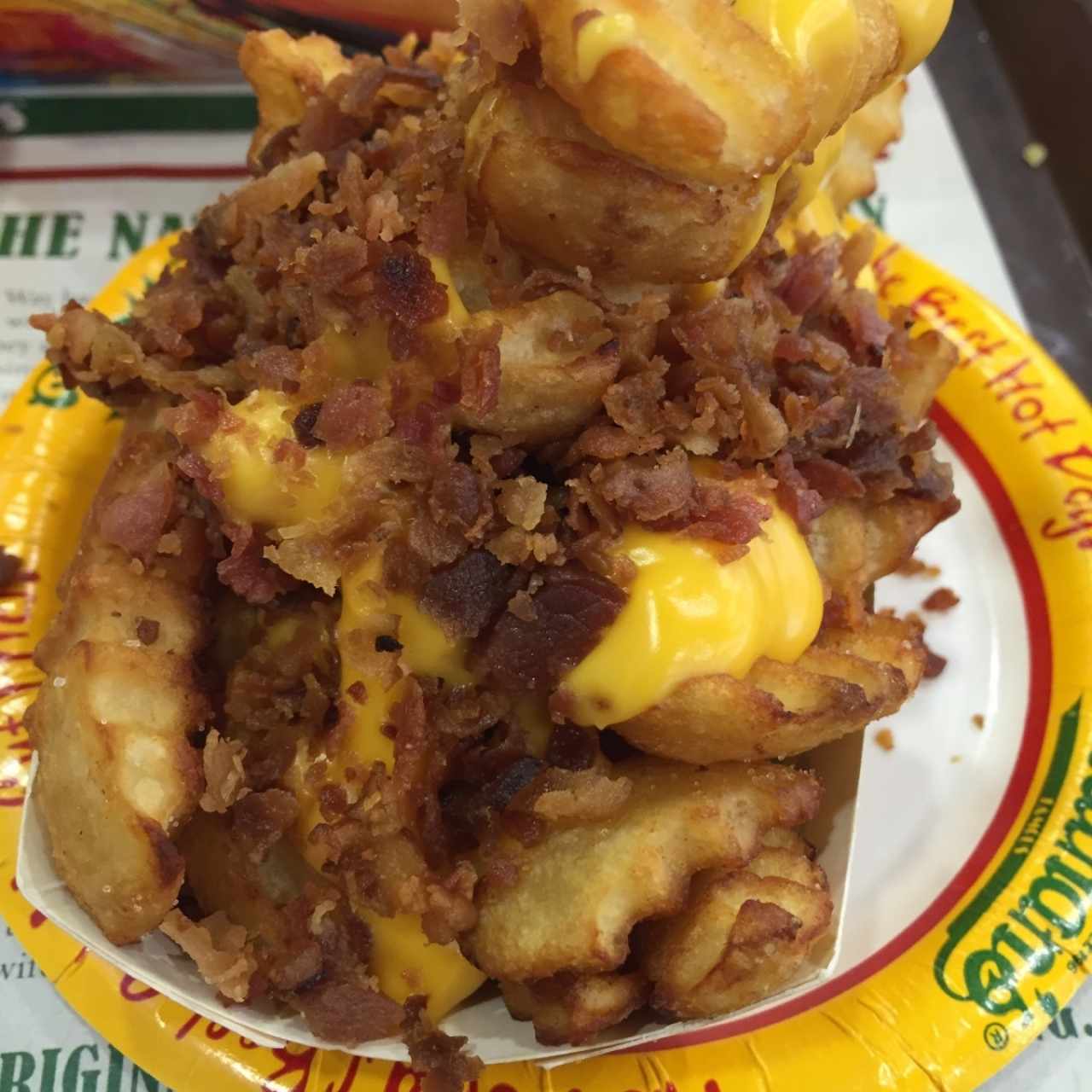Fries queso y bacon