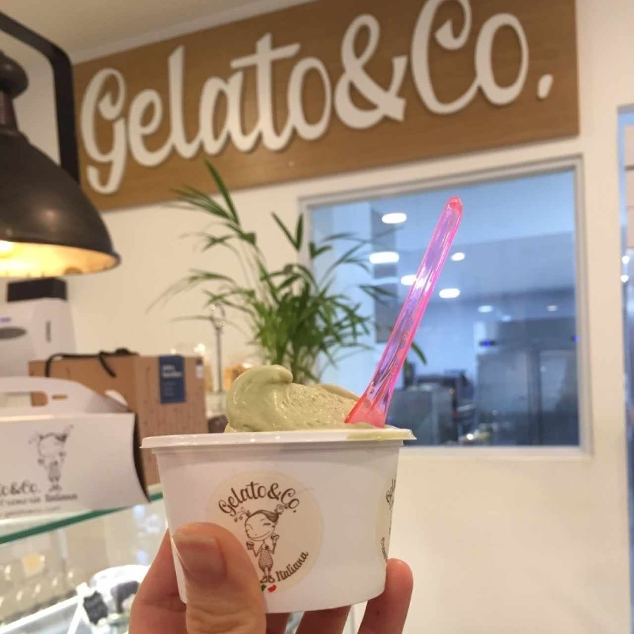 gelato de pistacho y tiramisu