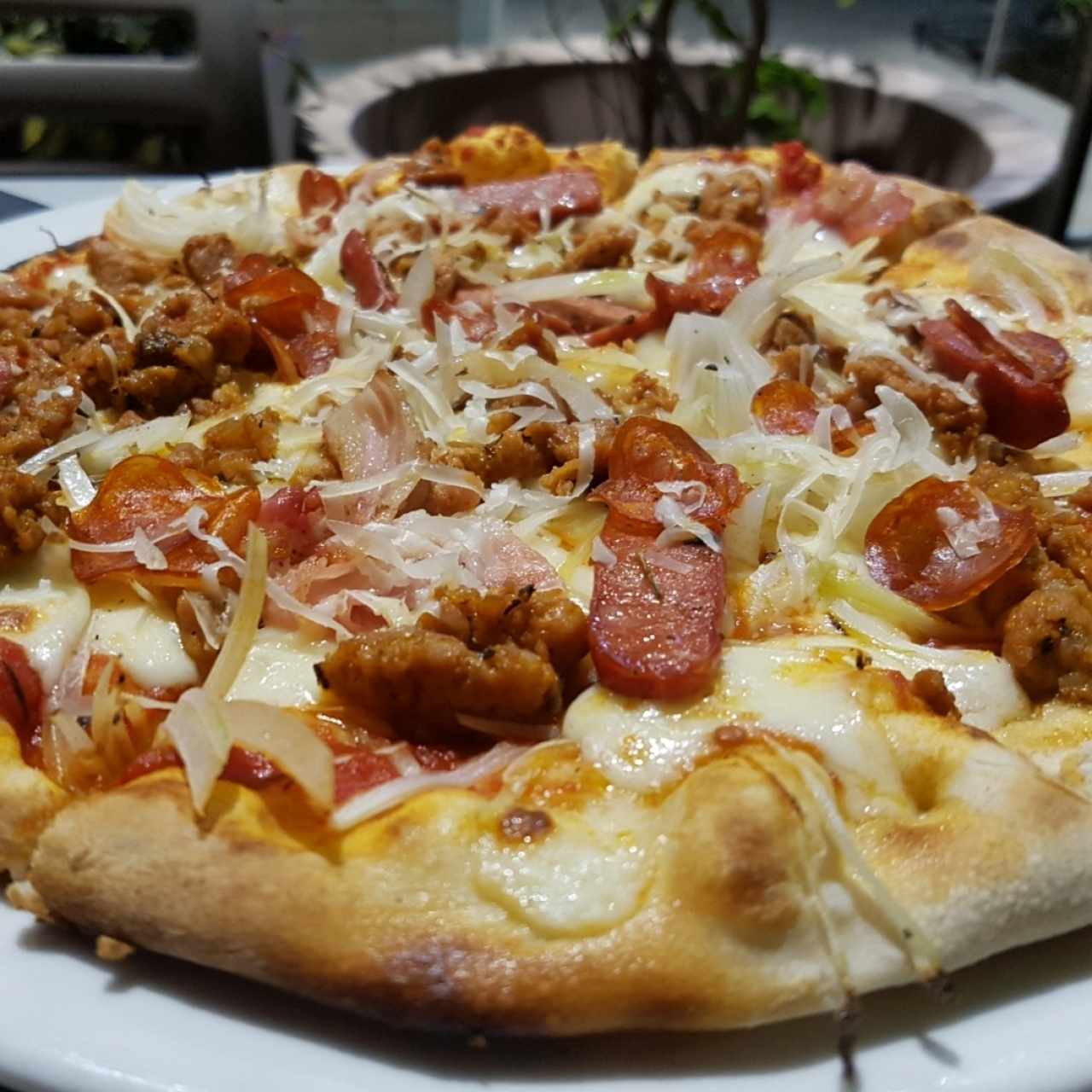 Pizza Salvaje 