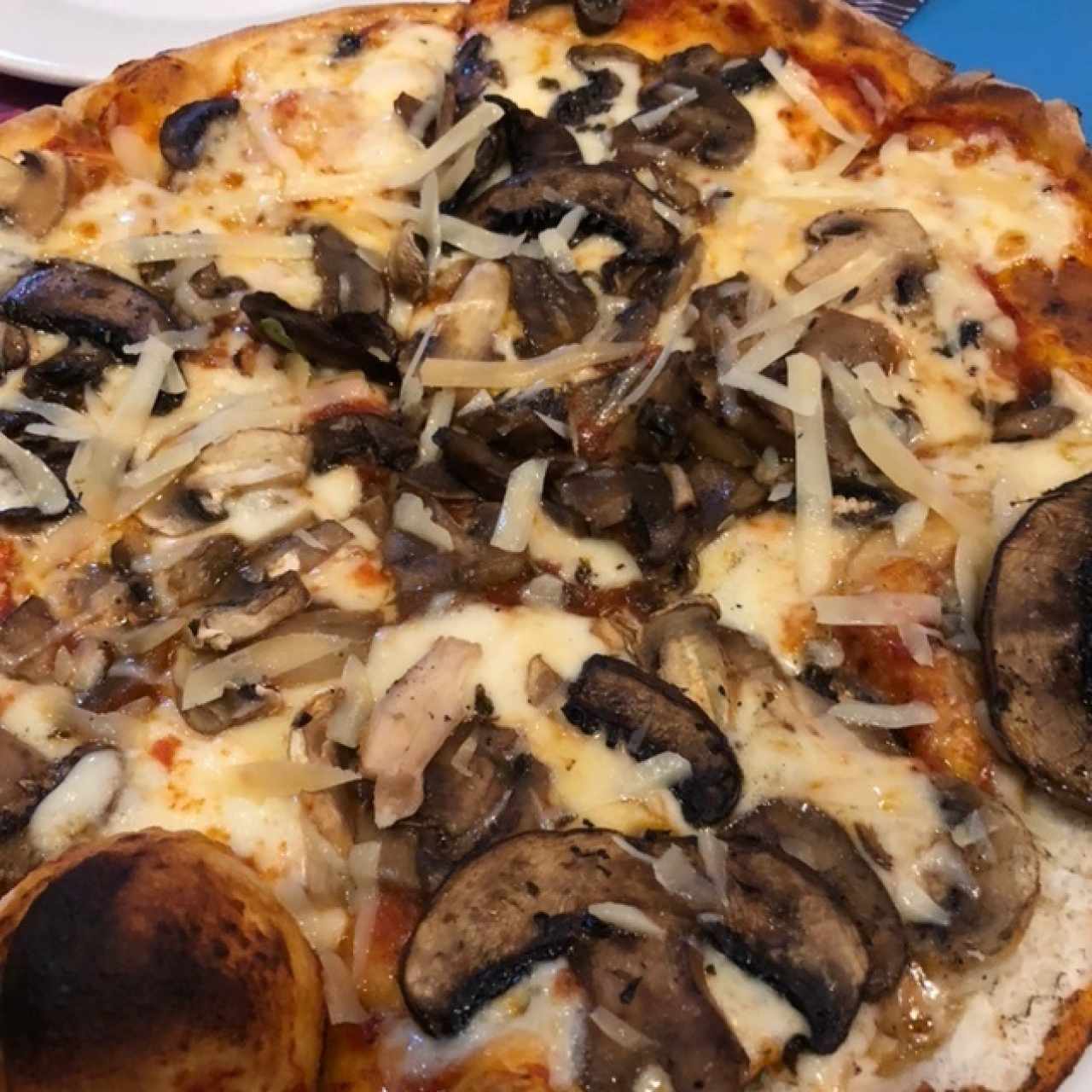 Pizzas Especiales - Mixta de hongos
