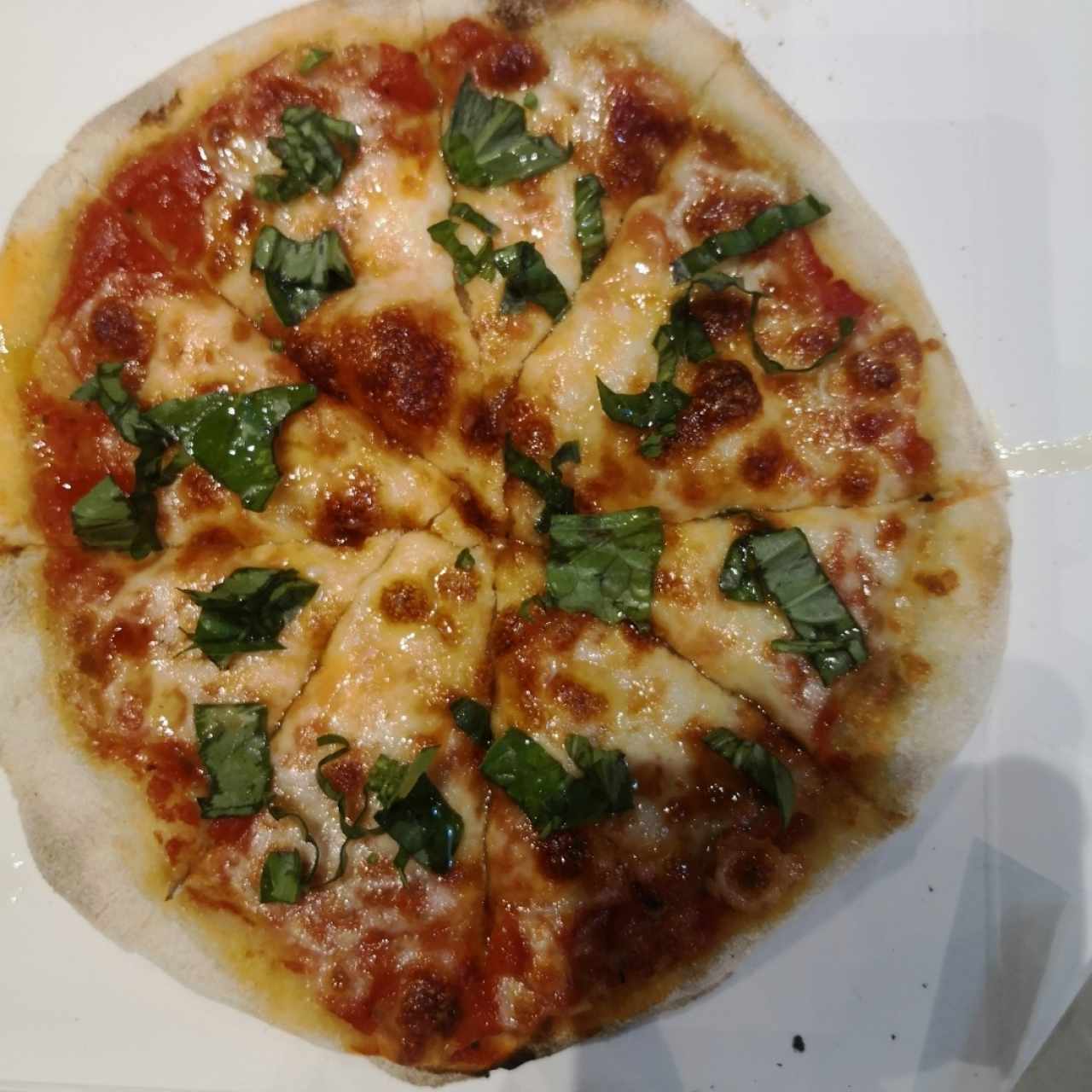 Pizzas - Margherita