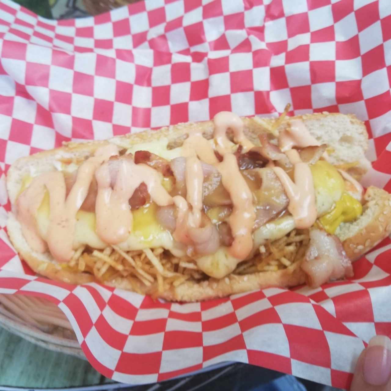 Hot dog especial sin cebolla 