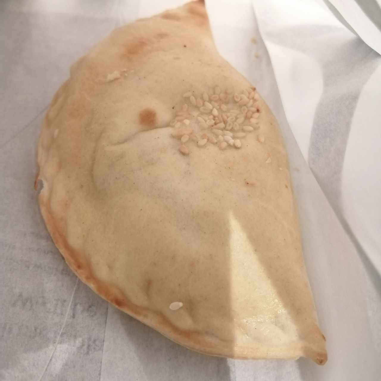 Empanada de pollo