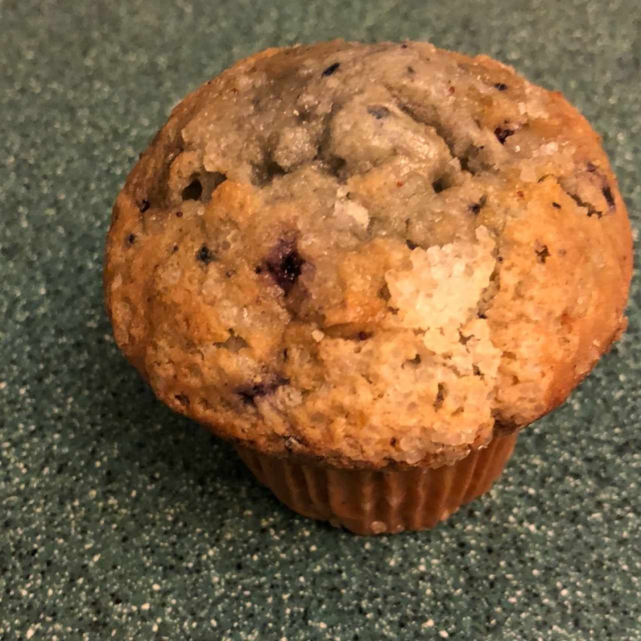 blueberry muffin