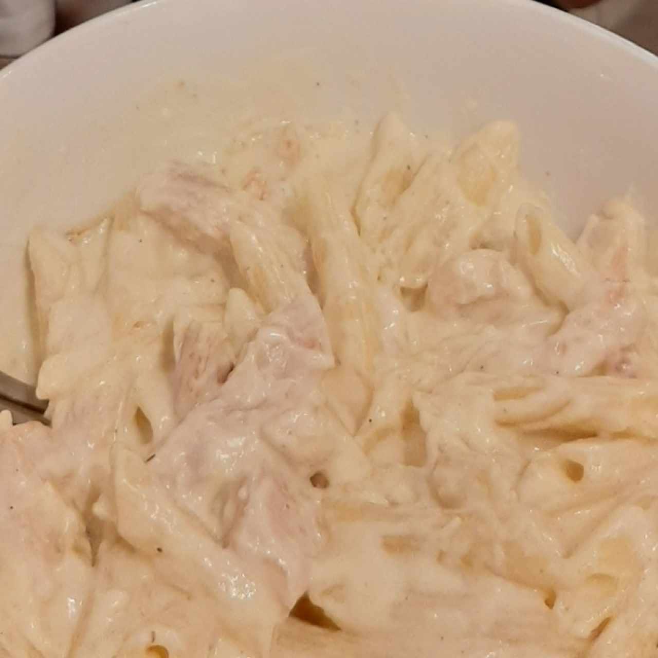 Pasta con pollo en salsa blanca