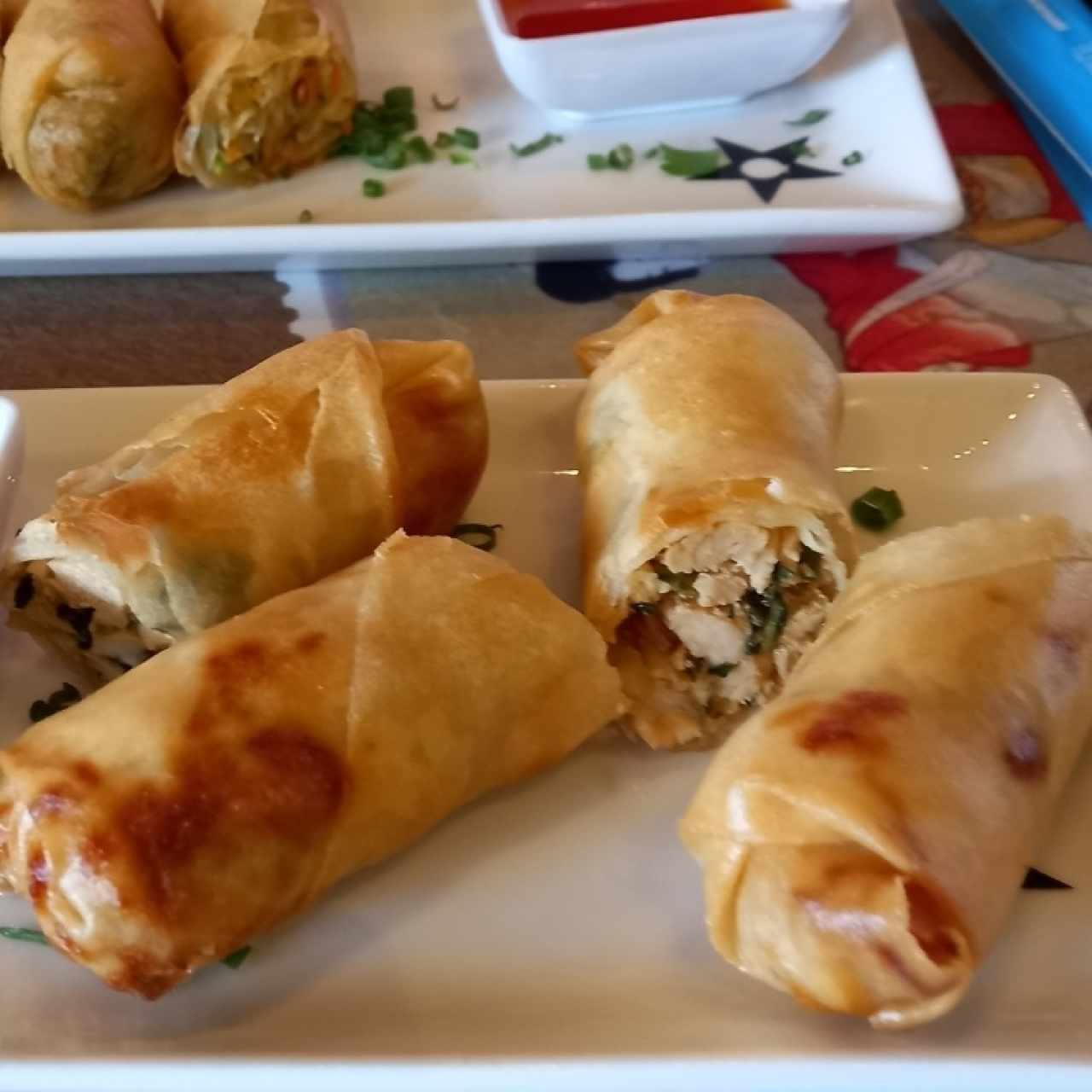 Spring Roll de Vegetales