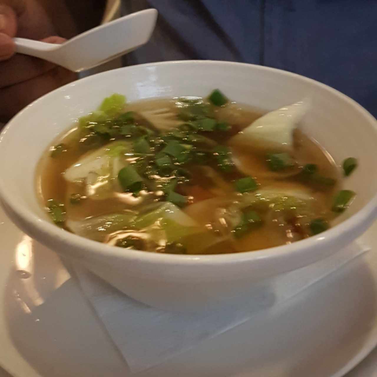 Sopa de Wonton