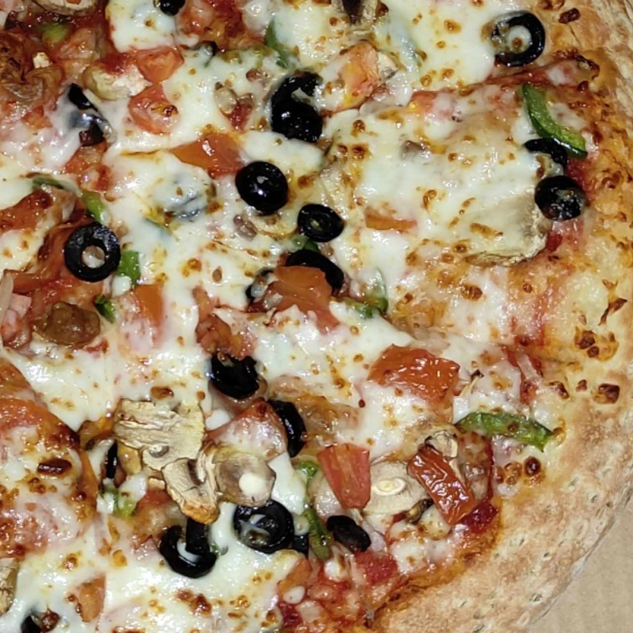 Pizza Regular - Garden Special
