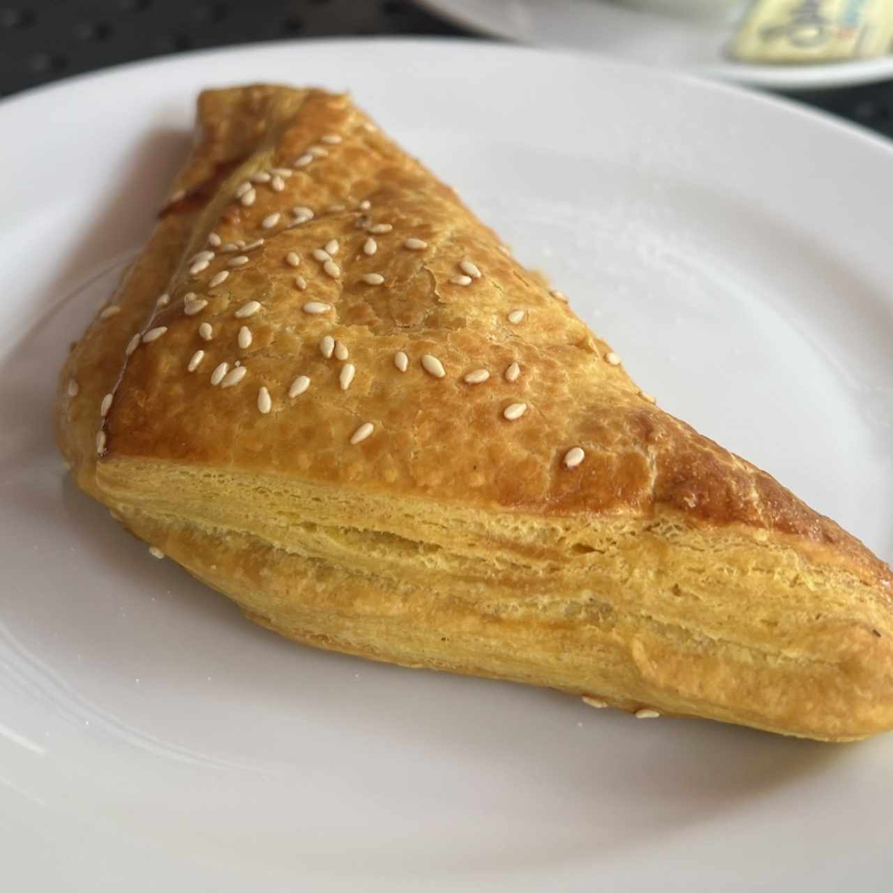 Empanadas - Empanada de Pollo