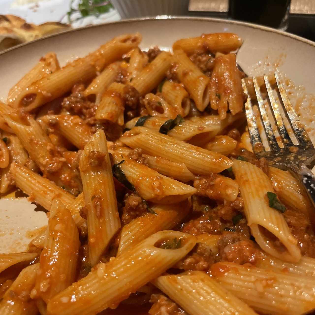 Bolognesa 