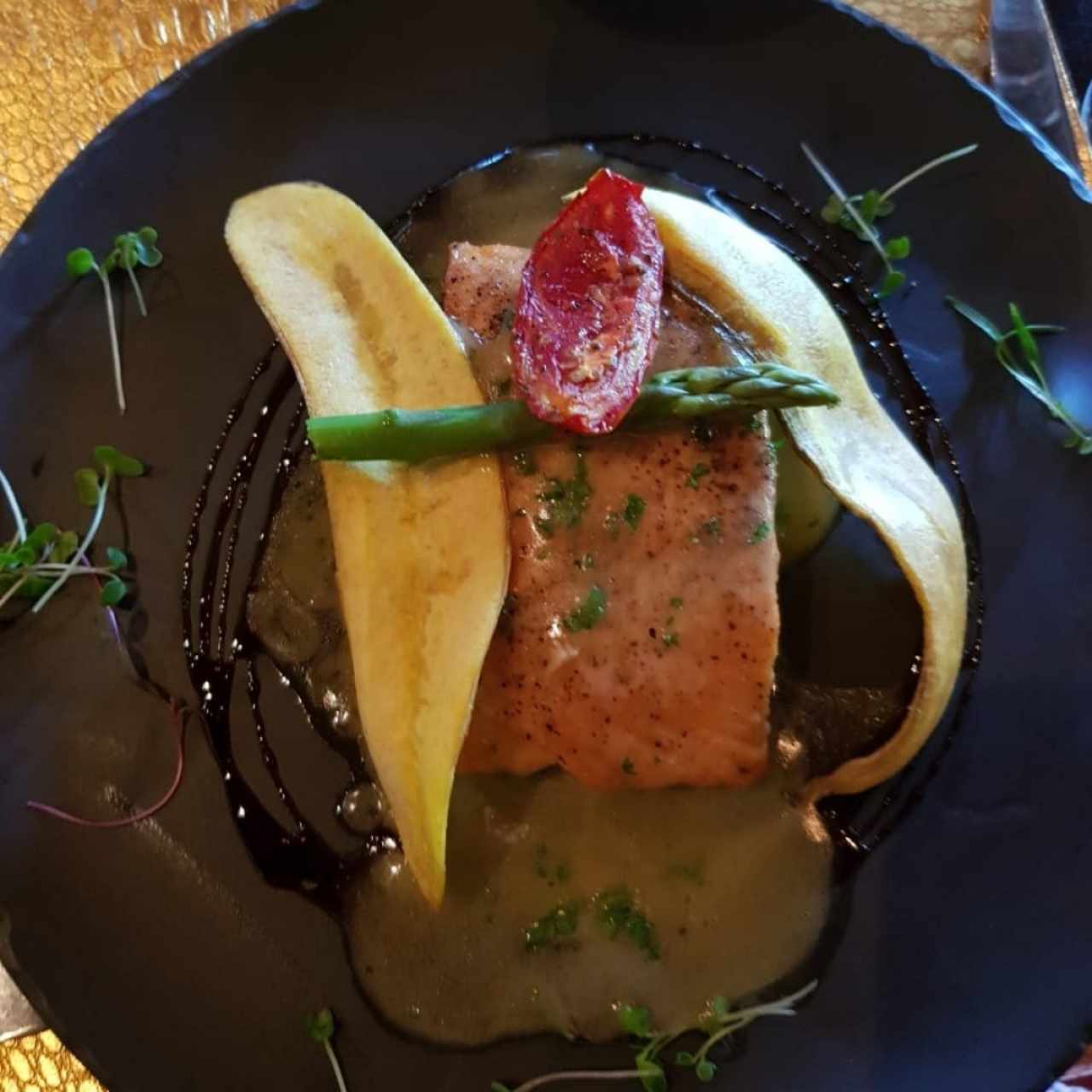 salmon