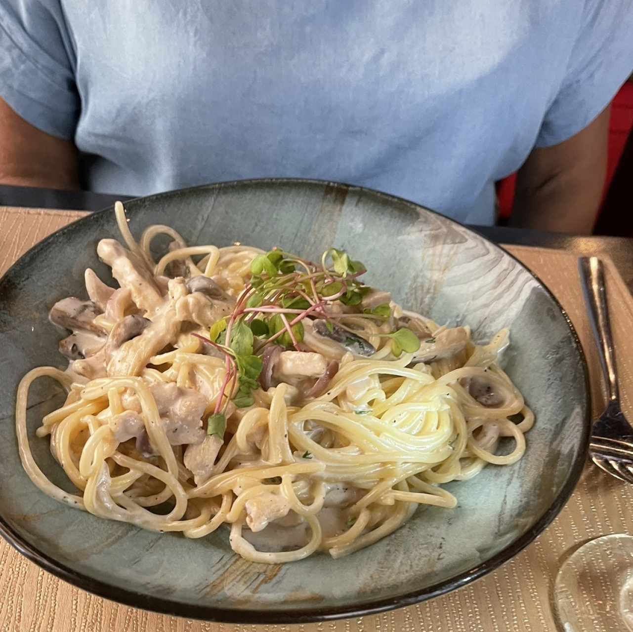 Pasta a la Crema con Trozos de Pollo