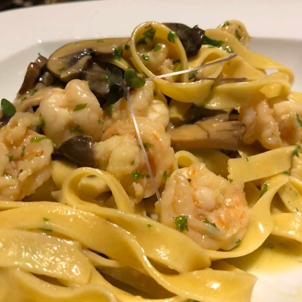 Pasta con Camarones e Fungui