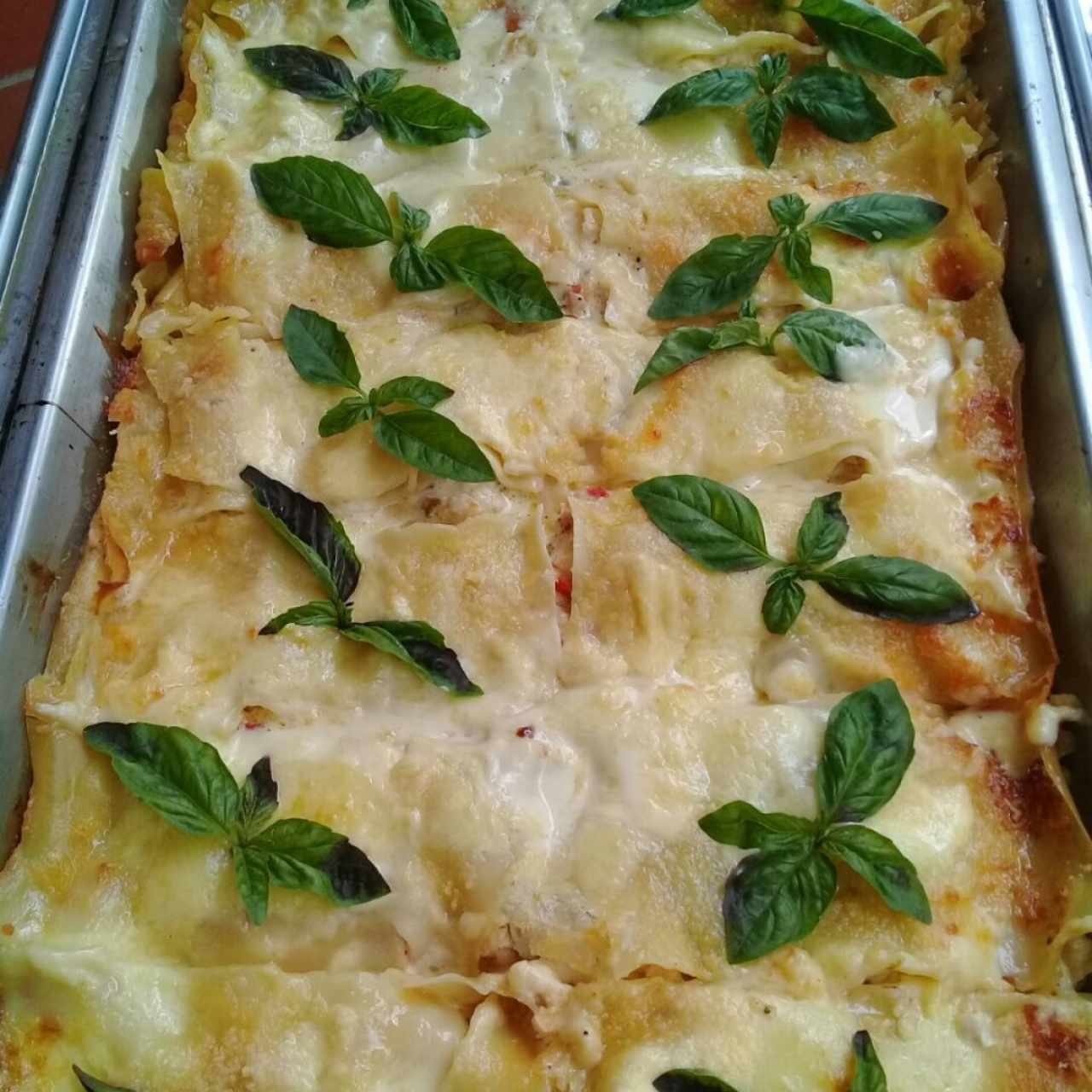 Lasagna de Pollo