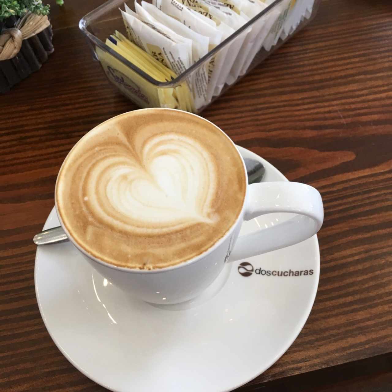 capuchino