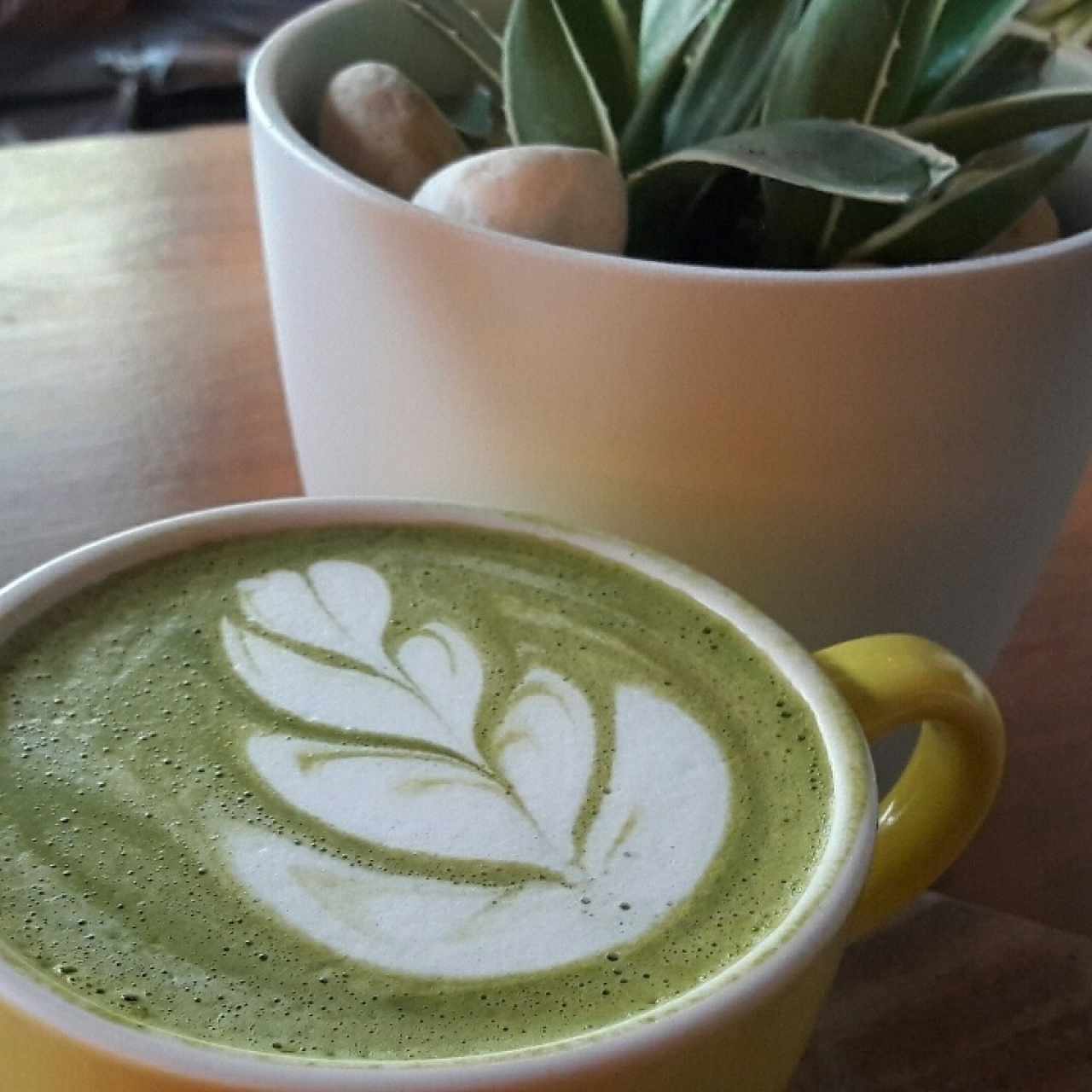 coffee matcha 