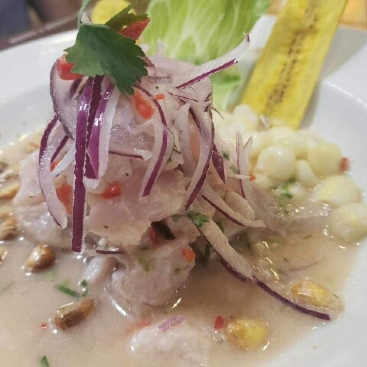 ceviche 