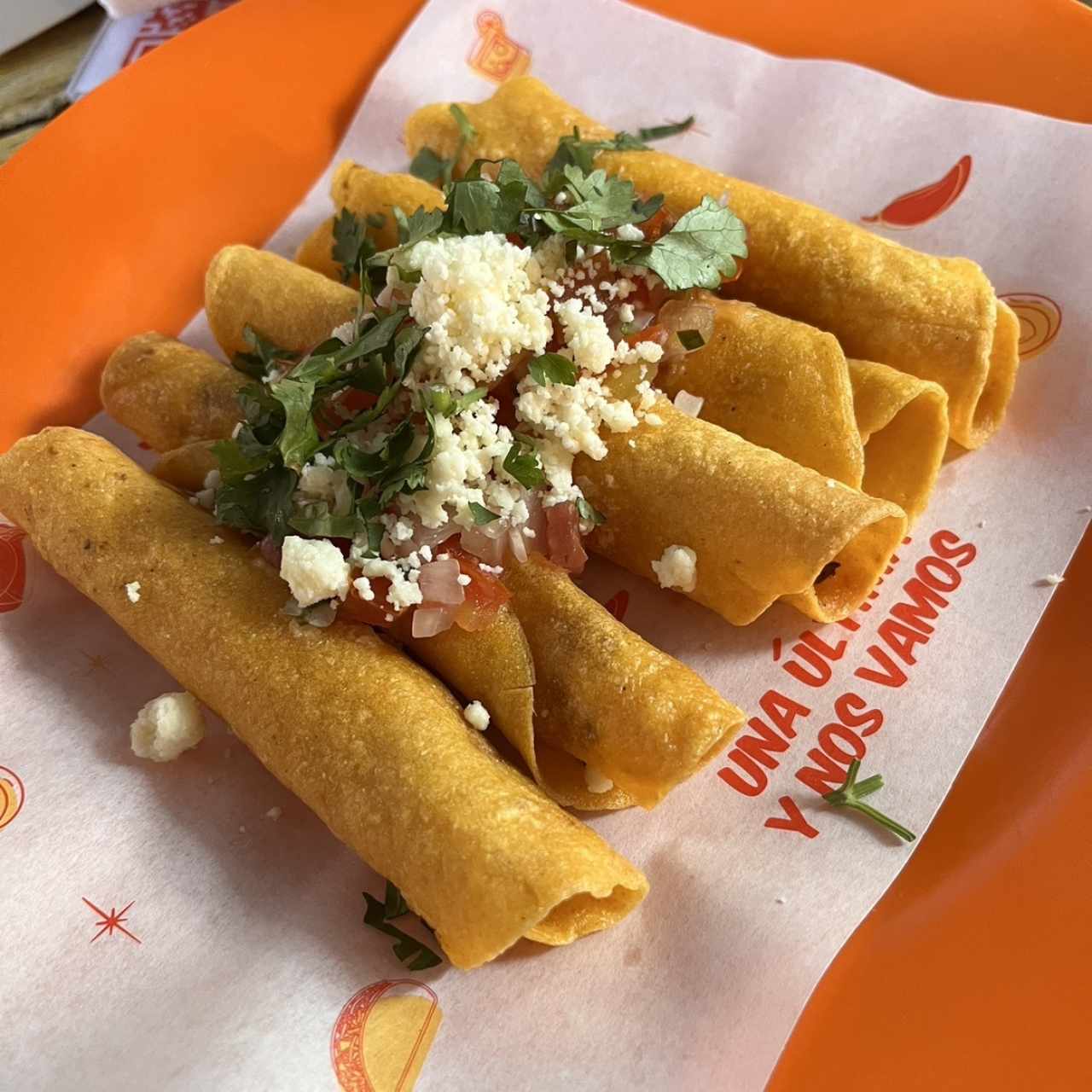 Entradas - Flautas de Pollo