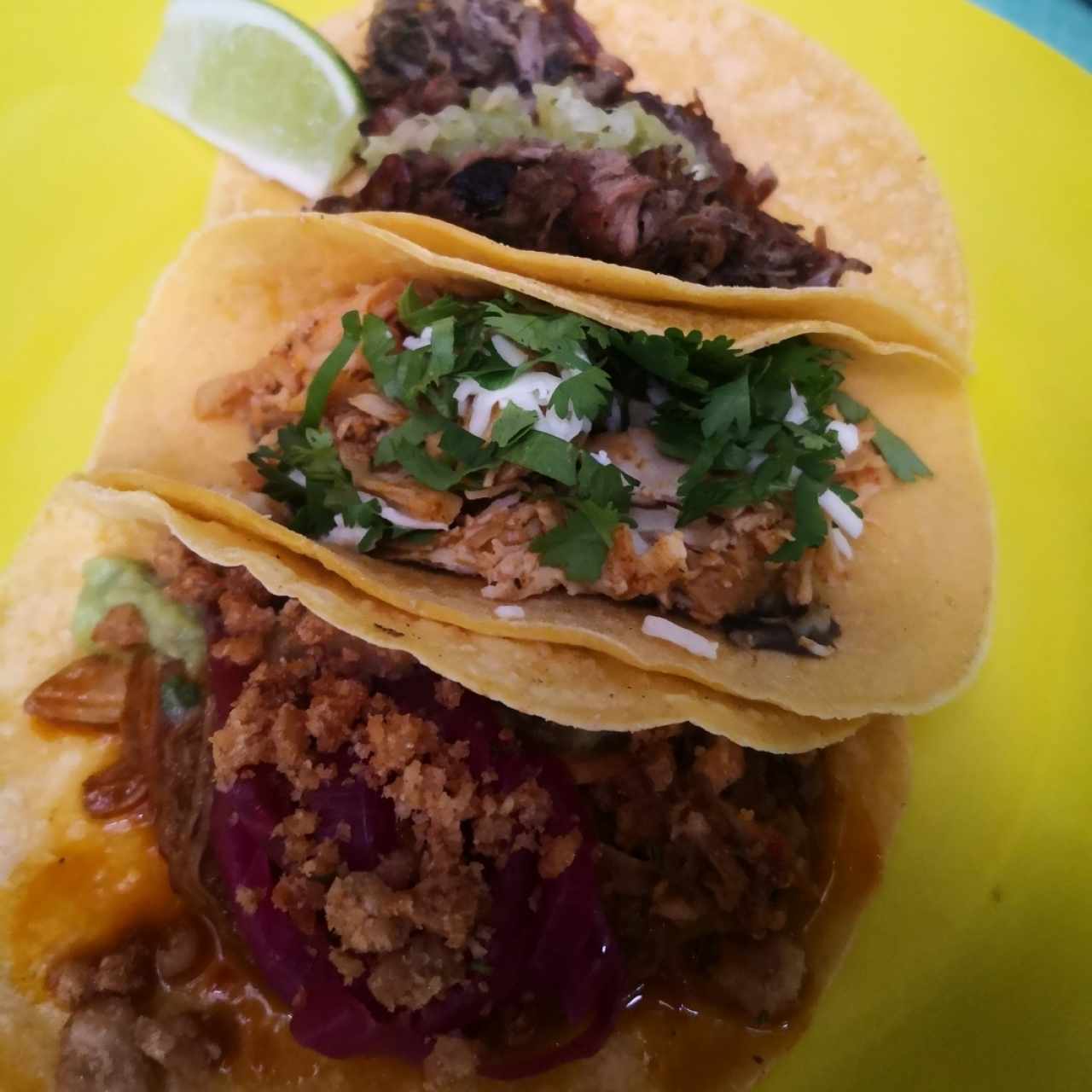 Tacos Tropicales - Cochinita Pibil