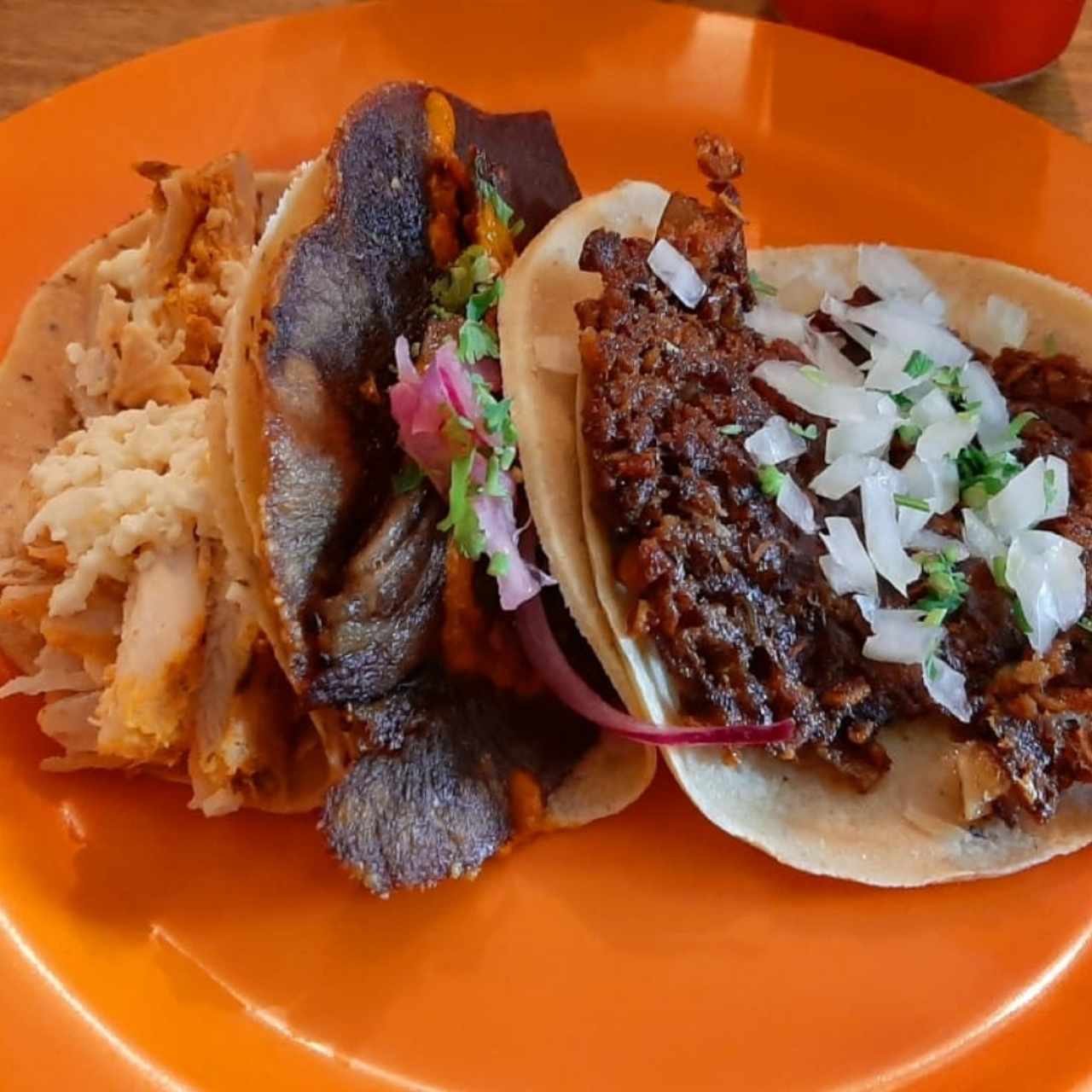 Tacos lengua, cochinillo y pollo pistolero