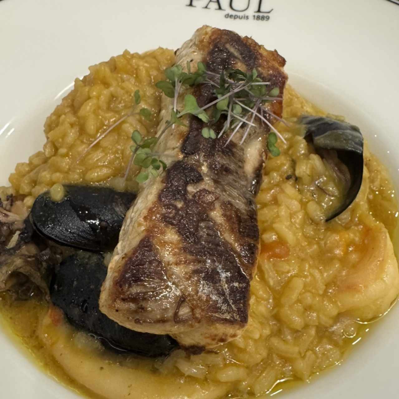 Corvina y risotto de mariscos 