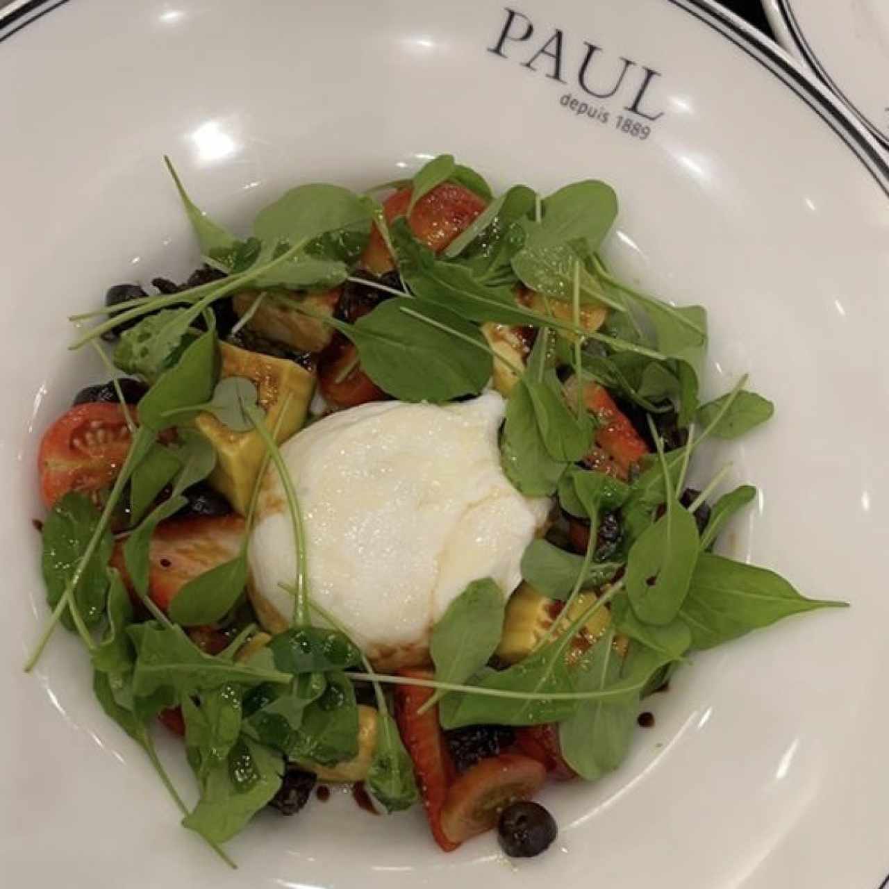 Salade de Burrata et Truffe