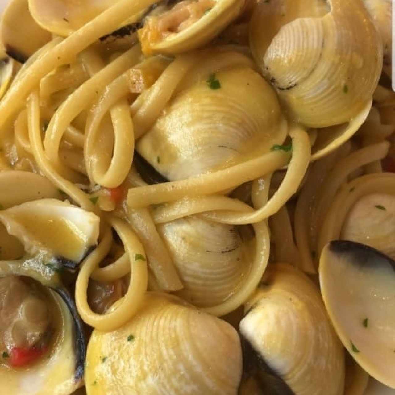 vongole pasta
