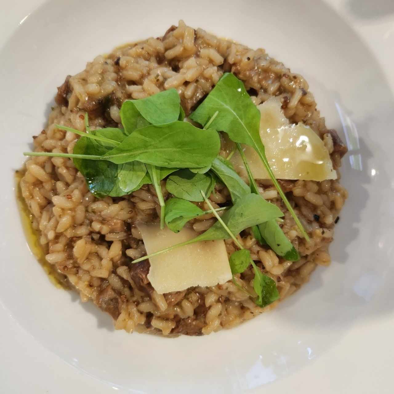 risotto de Hongos 