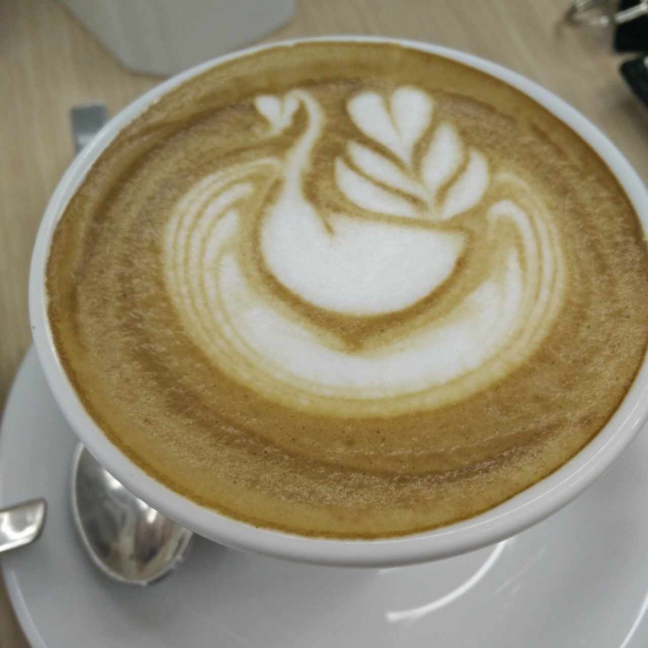 capuccino 