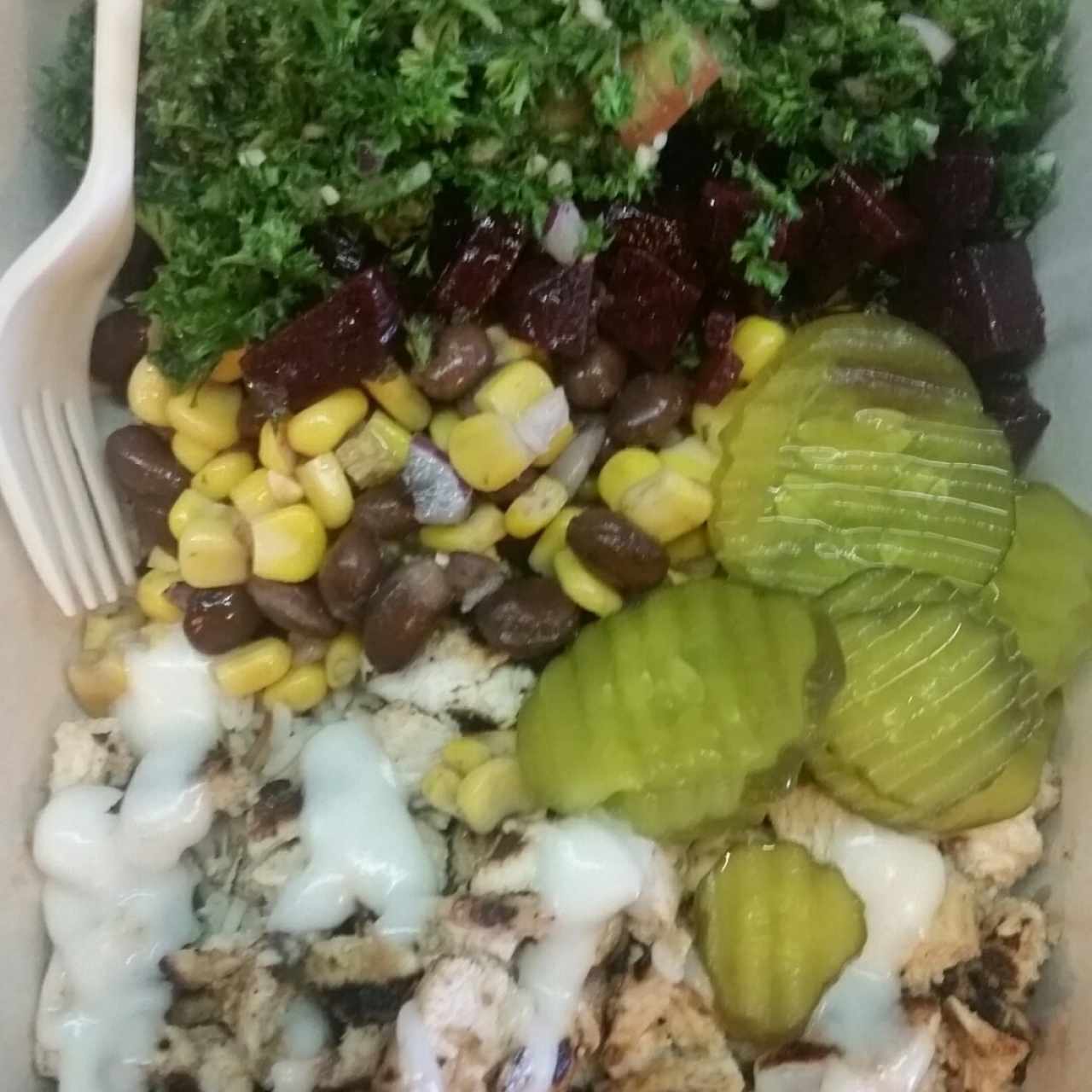 Platter de Pollo + 3 ensaladas + Salsa
