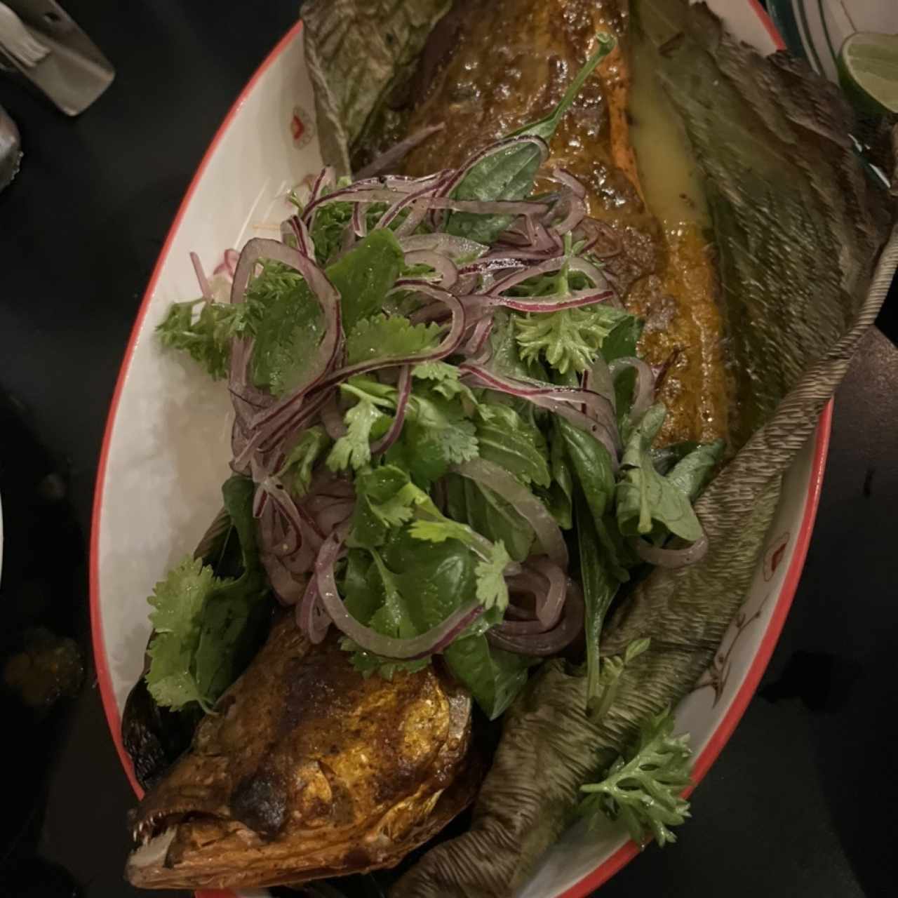 pesca del dia