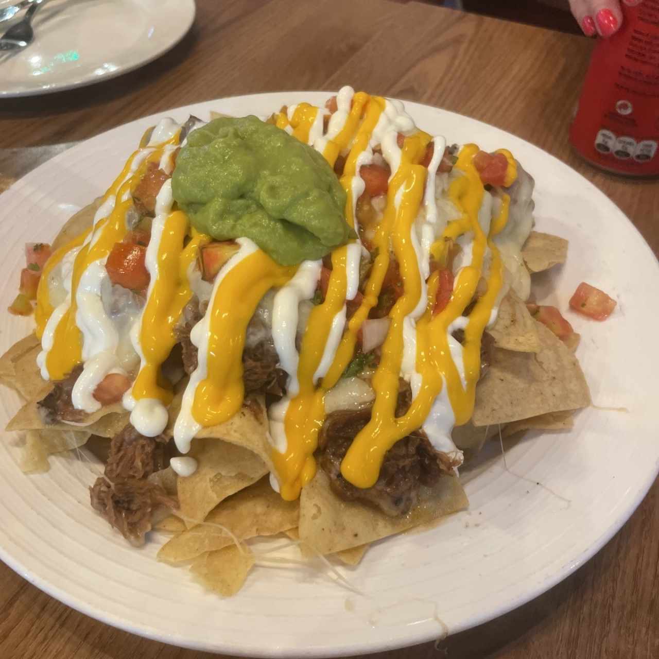 Nachos de birria