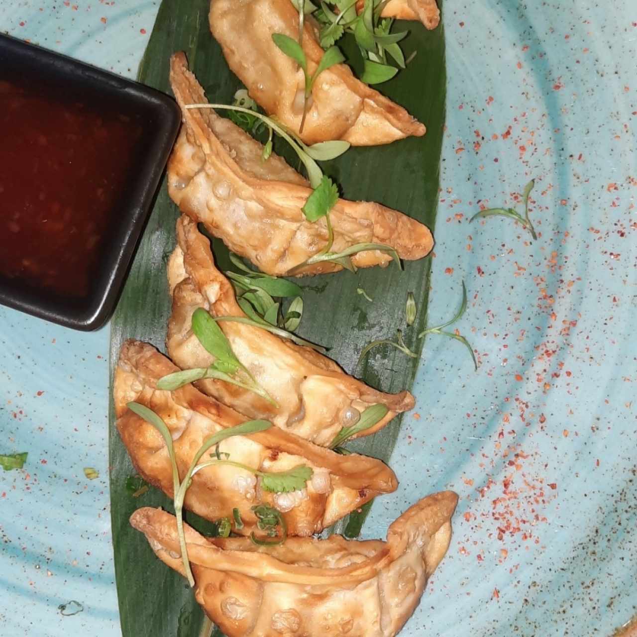 gyozas de pollo