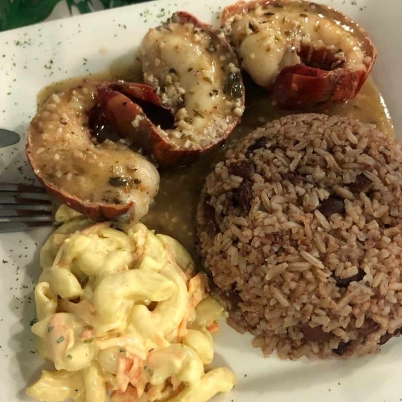 Colitas de langosta en salsa bastimentos, ensalada de coditos y arroz con coco y frijoles