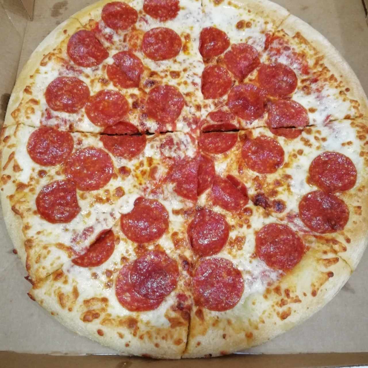 pizza de pepperoni hot n ready