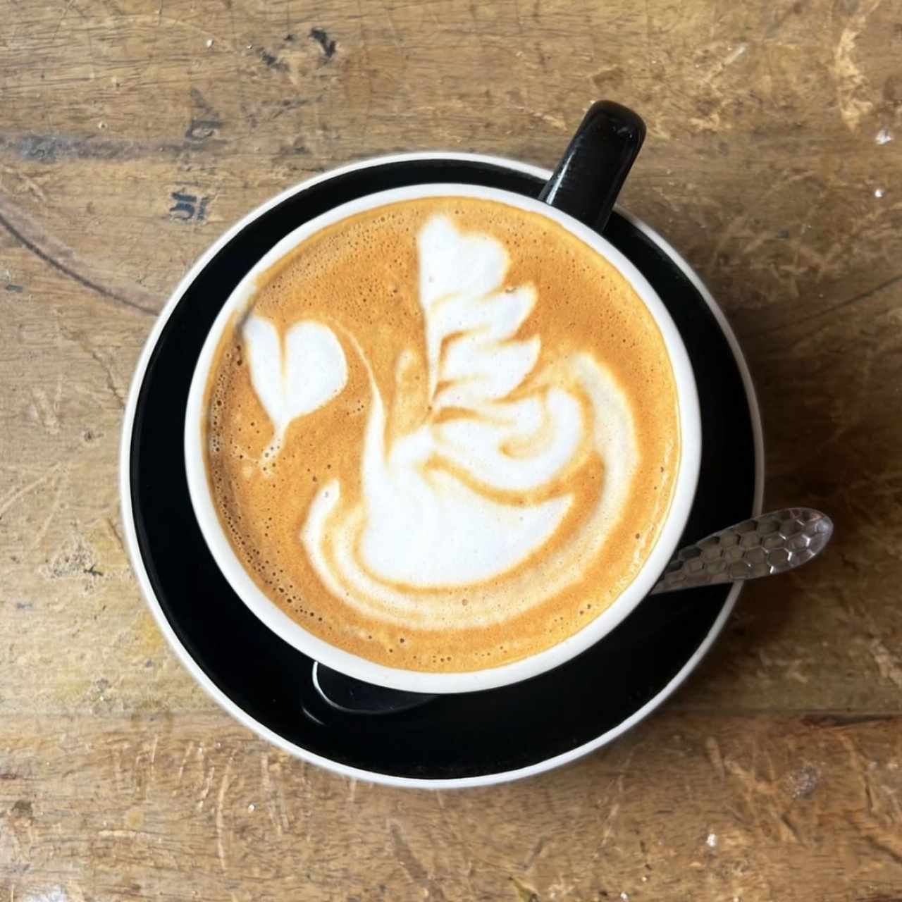 Capuccino 