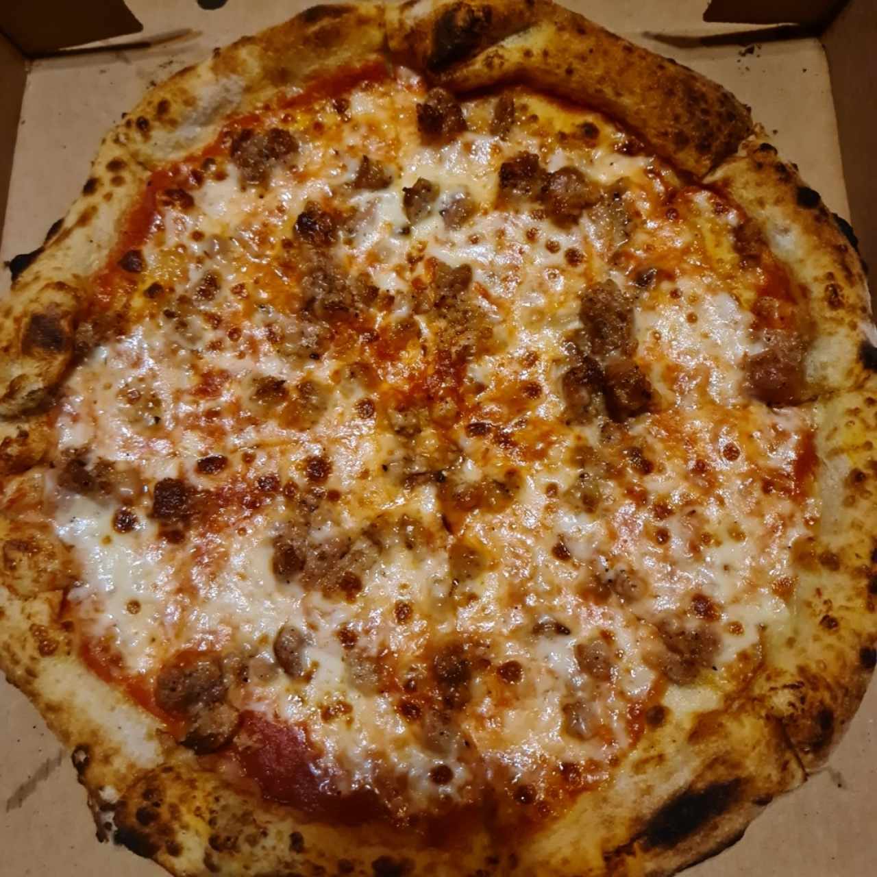pizza chorizo con hinojo