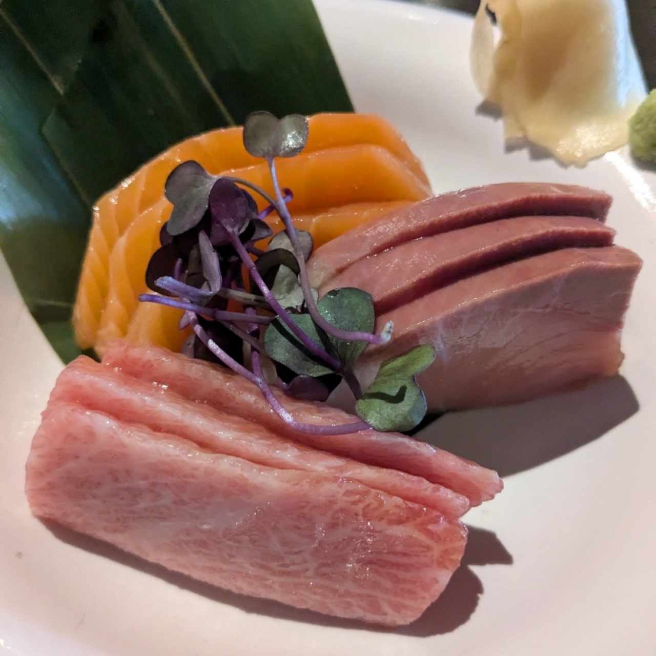 ENTRIES - SASHIMI MIXTO