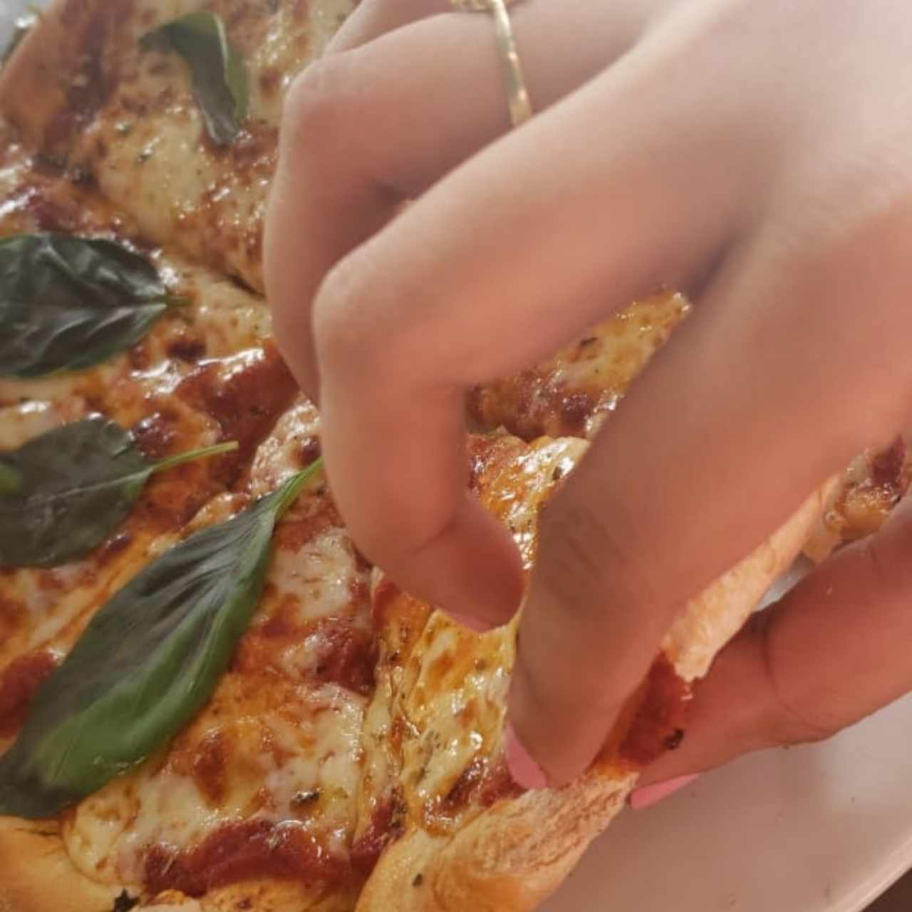 pizza margarita 