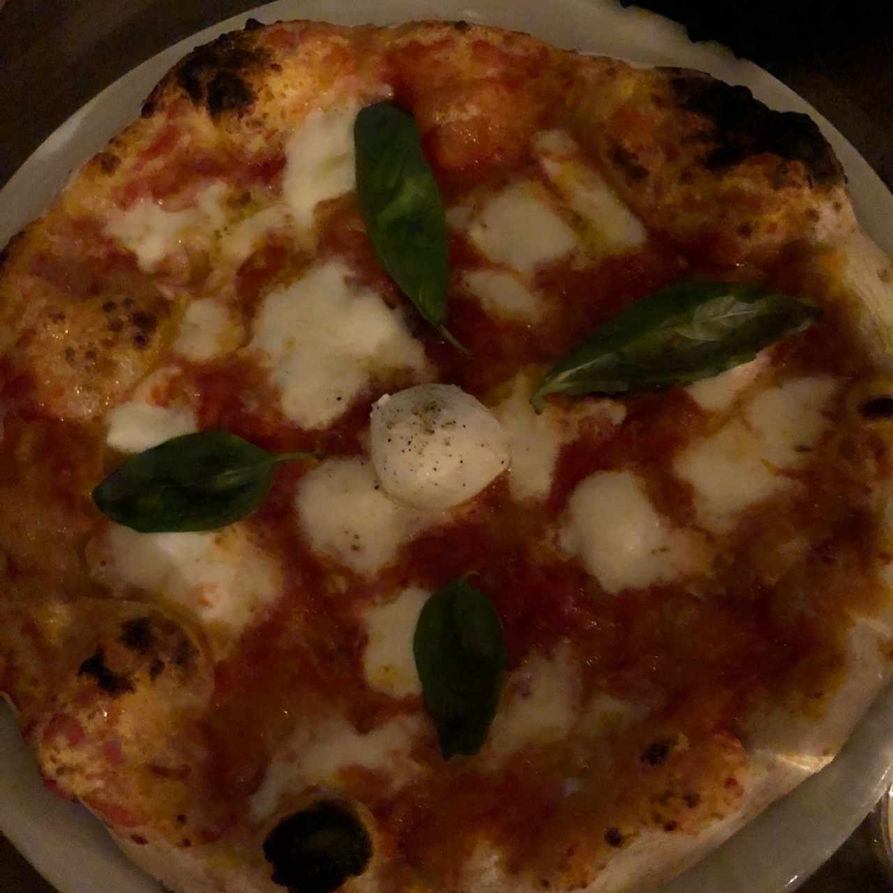 pizza margherita 