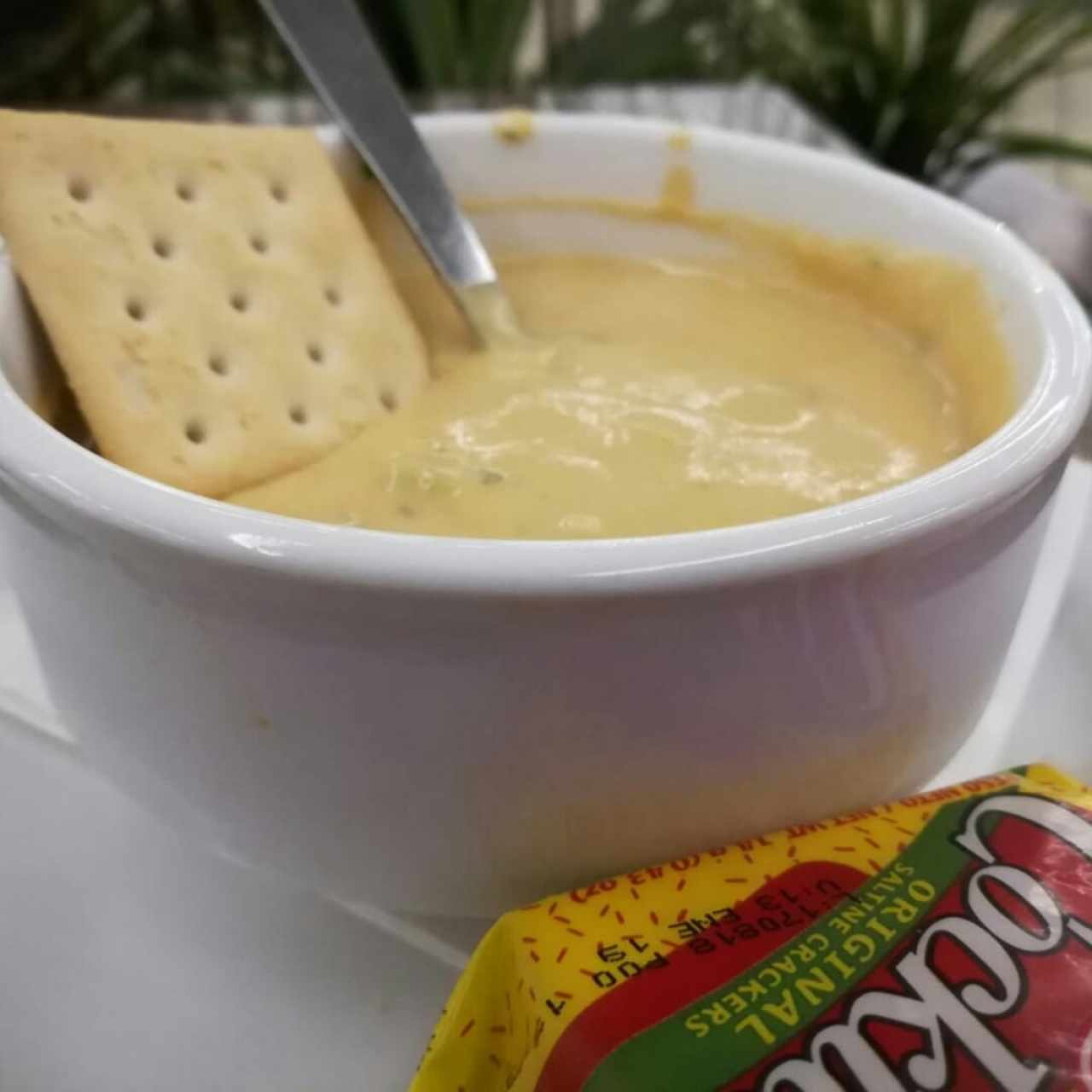 Sopa de brócoli y queso