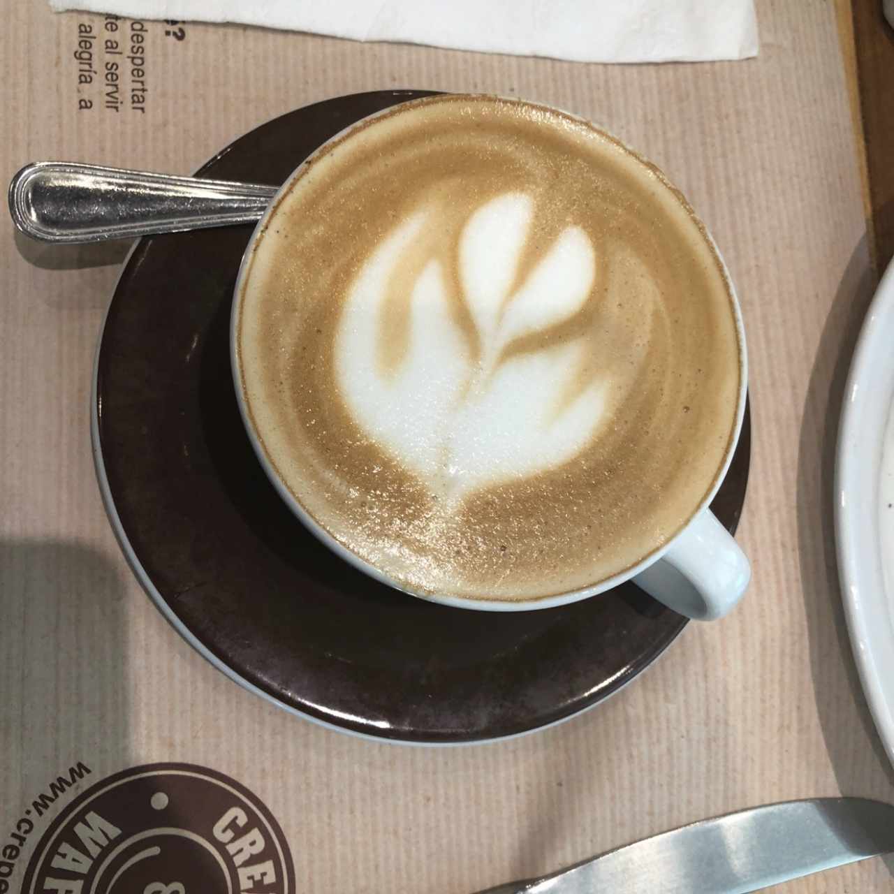 capuccino 