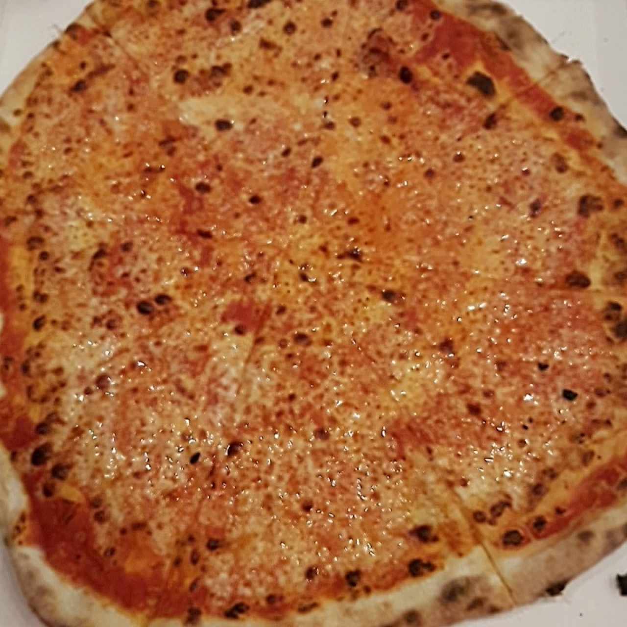 pizza margarita muy rica!