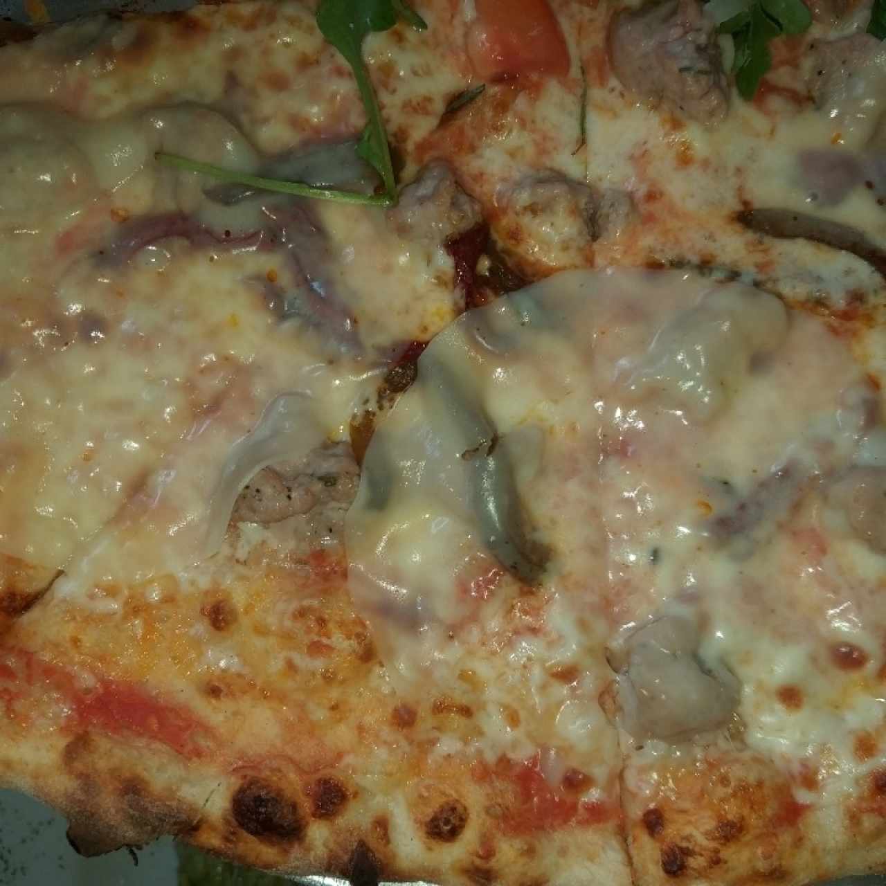 Pizza Gourmet - Roma normal