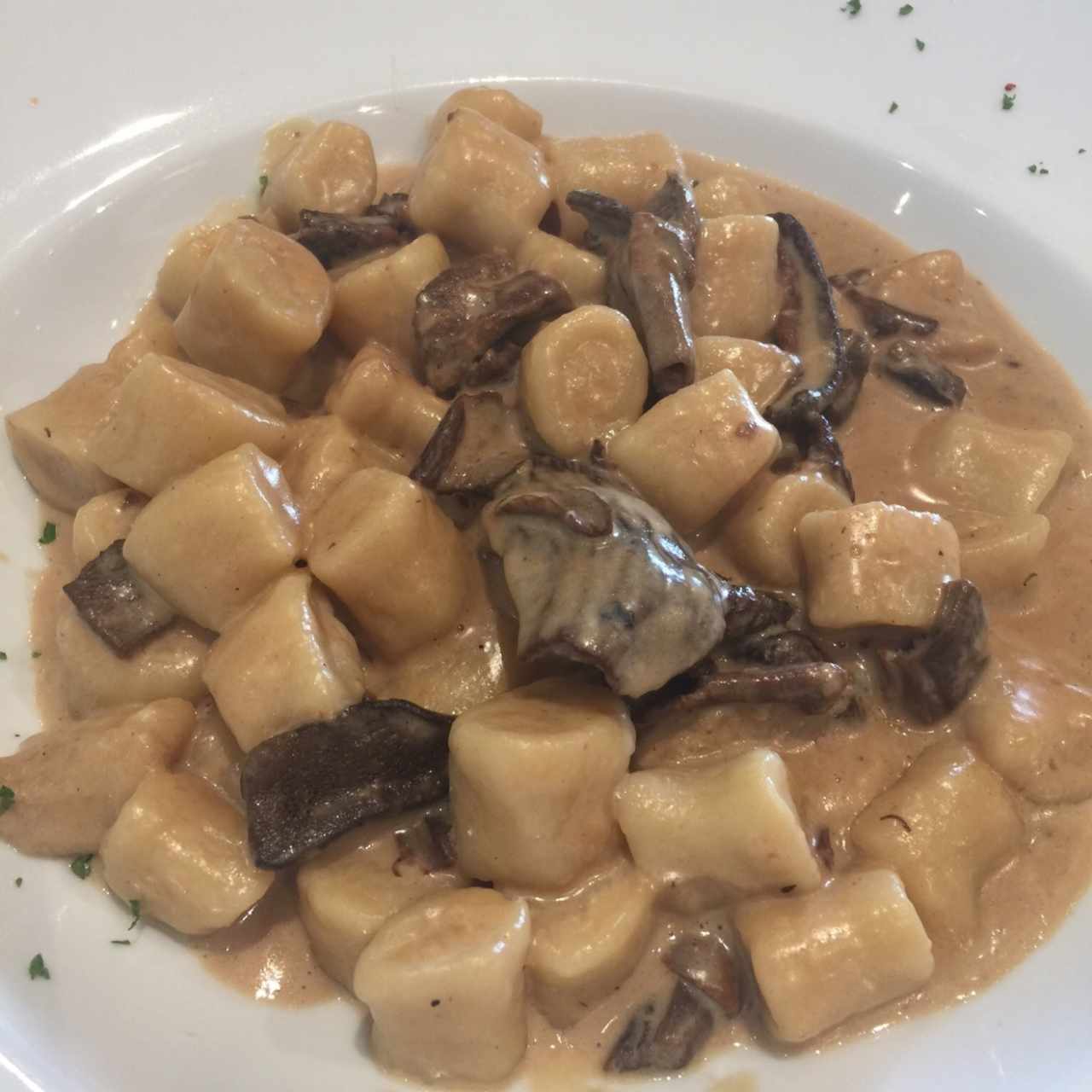 ñoquis crema de porcini