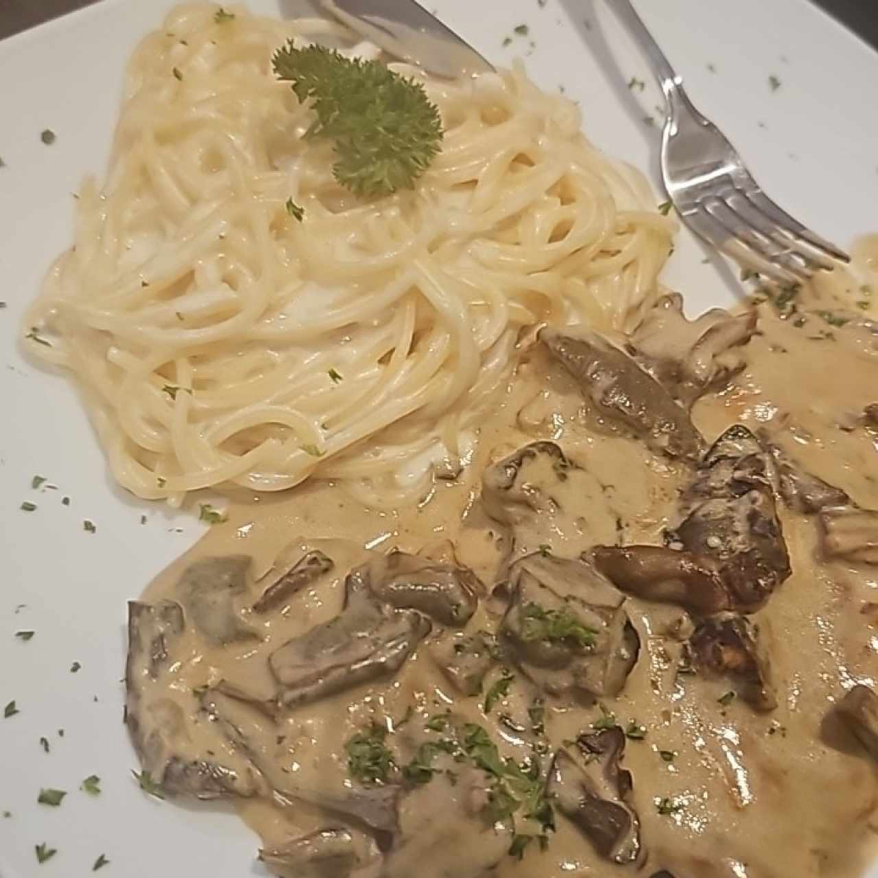 Filete Di Funghi Porcini