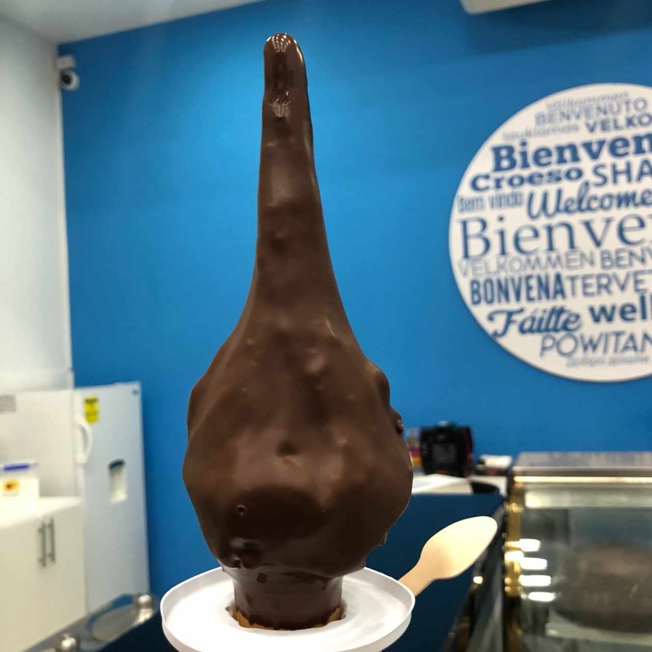 Coco bañado en Chocolate 