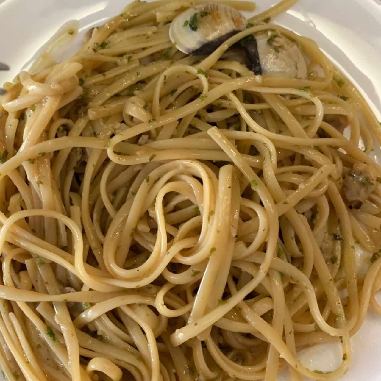 Pastas - Spaghetti & polpette