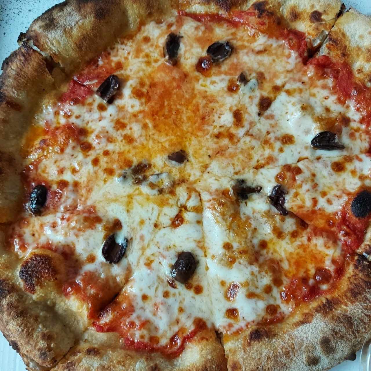 Piezas Tradicionales - Pizza Margherita con aceituna
